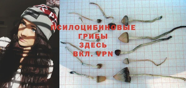 ГАЛЛЮЦИНОГЕННЫЕ ГРИБЫ Россошь