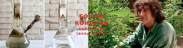 ГАЛЛЮЦИНОГЕННЫЕ ГРИБЫ Россошь